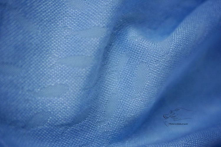 batch_P1082951.JPG