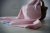batch_P1082575.JPG